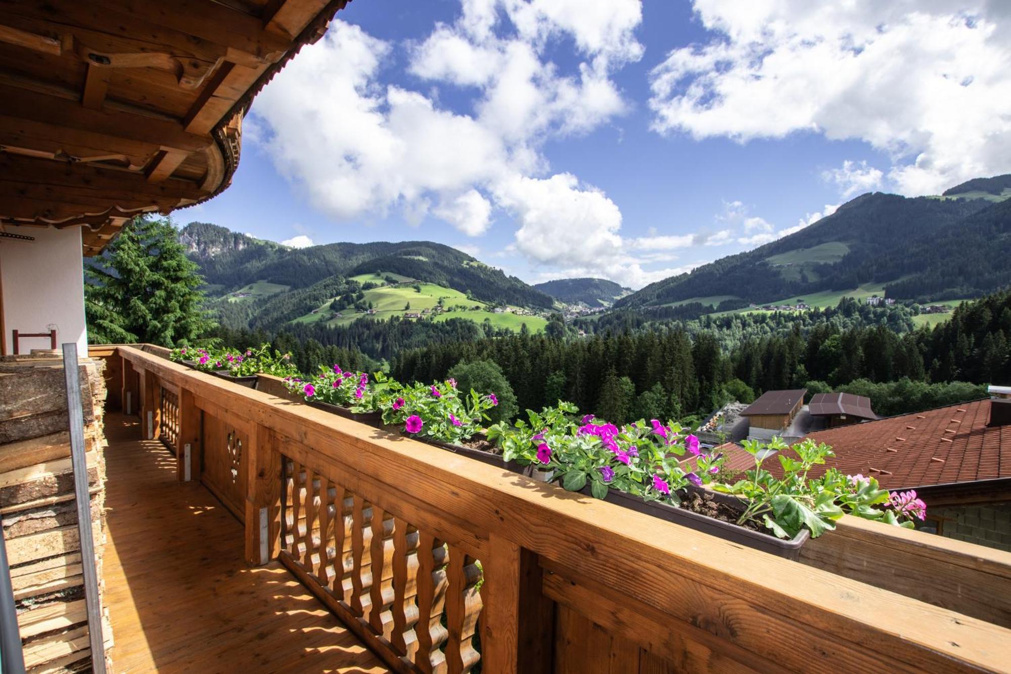 Gittis Ferienwohnung Panorama Wild31 Bernau  ภายนอก รูปภาพ